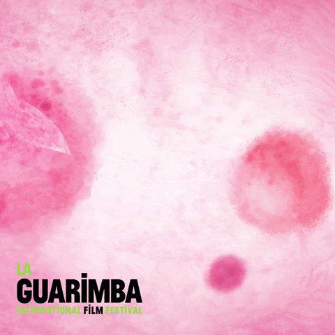 Art Pink GIF by La Guarimba Film Festival