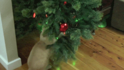maudit GIF