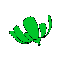 Buenos Aires Flower Sticker by C40 Cities
