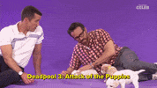 Ryan Reynolds Dog GIF by BuzzFeed