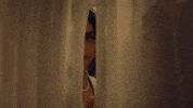 Peeking GIF by Sofia Camara