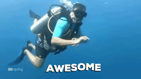 Scuba Wow GIF by Quixy