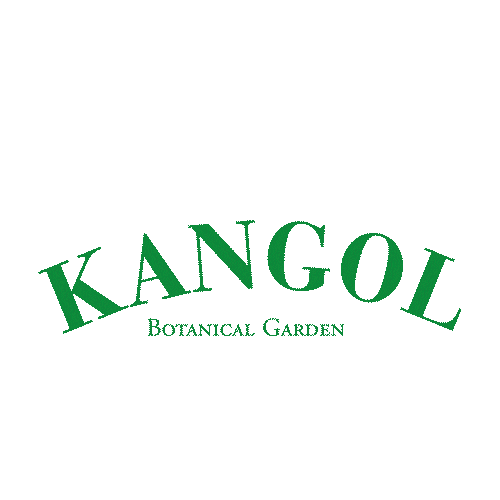 kangolkidskorea 캉골키즈 Sticker