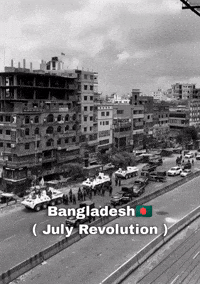 Sheikh Hasina Bangladesh GIF