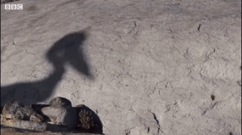 nickmitchell688e  GIF