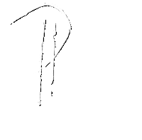 P Sticker
