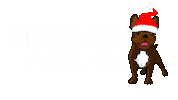 Merry Christmas Dog Sticker by Laila and Me