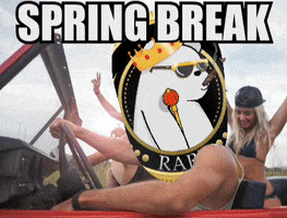 Spring Break Nft GIF by SuperRareBears