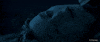 Titanic GIF by Samantha