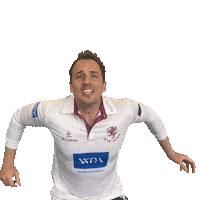 Celebration Ball Sticker by Somerset County Cricket Club