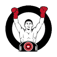 yogaplus_ph workout boxing flash champion Sticker