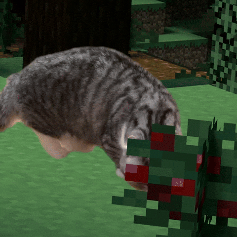 SingNO2 giphyupload komaru minecraft cat GIF