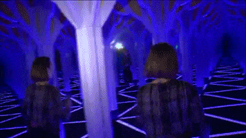 Tv News Chicago GIF by WGN Morning News