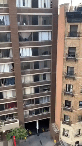Manhattan Residents Cheer From Apartment Buildings After Biden Victory