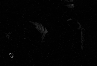 the uninvited GIF by Maudit