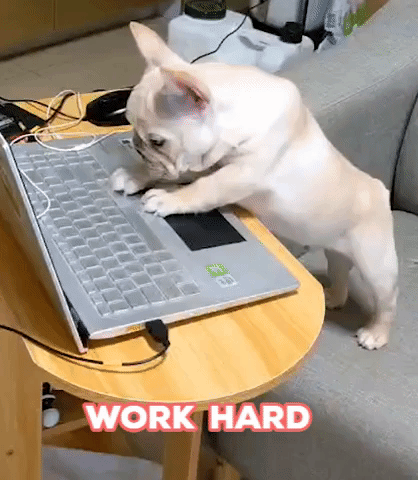 work from home 