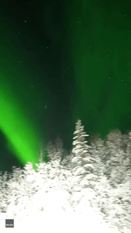 Aurora Illuminates Snow-Covered Alaskan Road