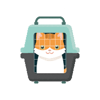 Veterinario Sticker