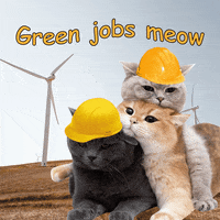 Climate Change Cat GIF