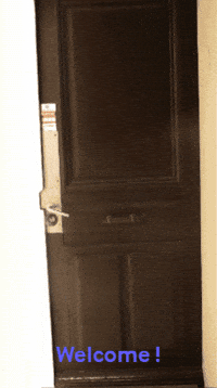 WeeneoConsulting weeneo weeneoconsulting GIF