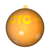 Ctc Новый Год Sticker by tv_ctc