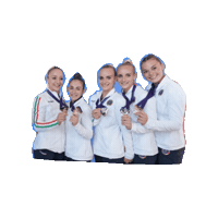 Fgi Sticker by Federazione Ginnastica d'Italia