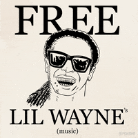 lil wayne fox GIF by Animation Domination High-Def