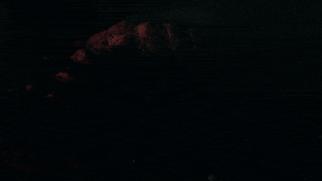 FarCryGame diego anton far cry 6 farcry GIF