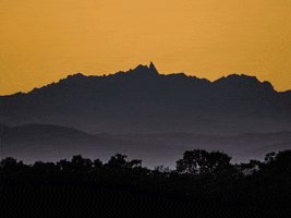 You Can Wow GIF by FranchiseONE.de