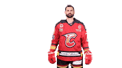 meudonhockeyclub goal hockey france captain Sticker