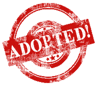 Dog Adopt Sticker by lovesecondchances