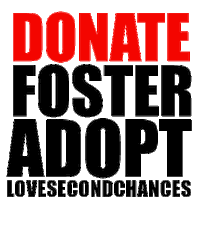 Dog Help Sticker by lovesecondchances