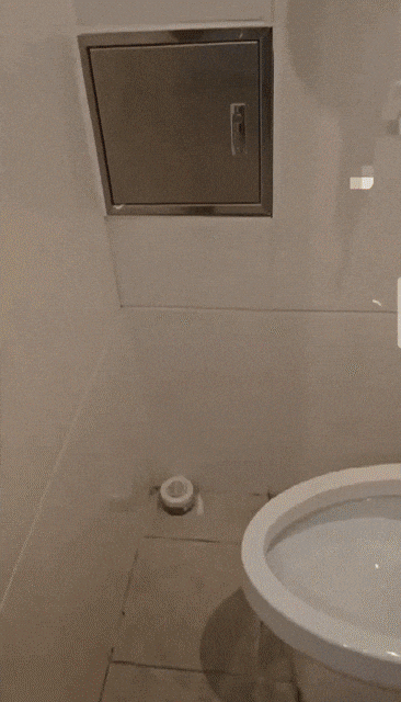 yj_jane giphyupload GIF