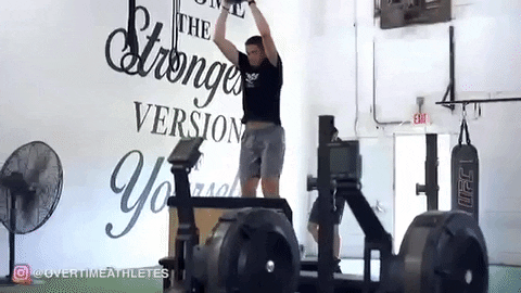 giphygifmaker GIF