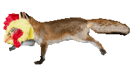 Dog Running Sticker by DASDING
