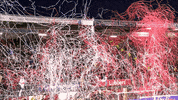GIF by FOX Sports