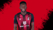 Happy Football GIF by AFC Bournemouth