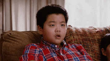 Fresh Off The Boat What GIF by ABC Network