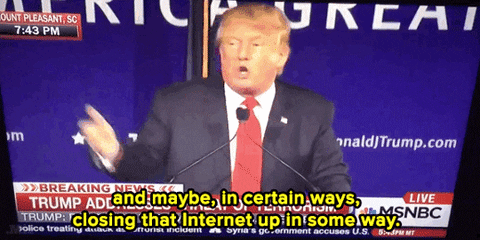 donald trump news GIF