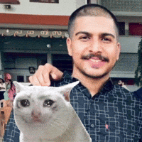 Pariey GIF