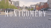 alabama GIF