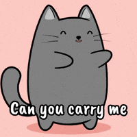 Pick Me Up Love GIF by MESA My Emotional Support Animal