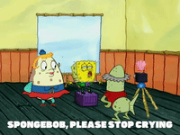 season 5 episode 13 GIF by SpongeBob SquarePants