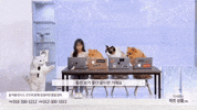 틴더스 굿즈 GIF