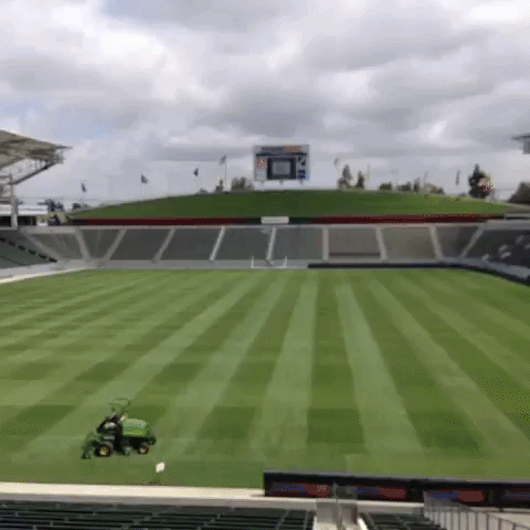 lavfcd GIF by LA Galaxy