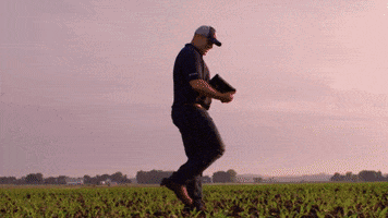 channelseed agriculture farmer corn farming GIF