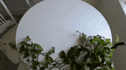 art time GIF by SoulPancake
