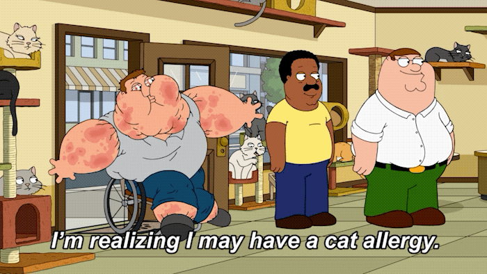 Fox Tv GIF by Family Guy