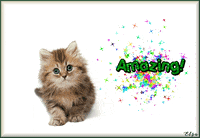 CuteAnimations  GIF