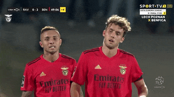 Sl Benfica Hug GIF by Sport Lisboa e Benfica